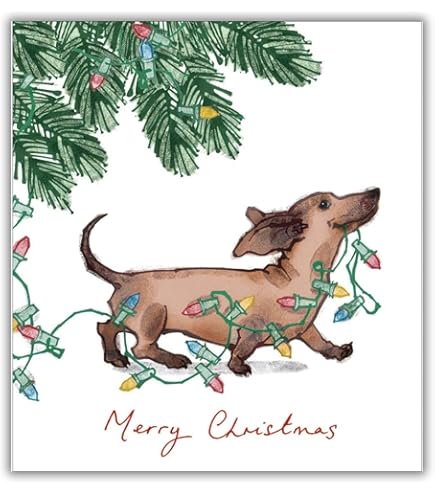 Old English Co. Carte D'anniversaire Amusante Pour Lui Et Elle – Carte D'anniversaire Coquine Pour Mari Et Femme – Carte De Saint-Valentin Amusante | Intérieur Vierge Avec Enveloppe