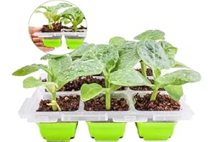 QTUN Seed Trays 9 Cells Reusable Seed Starter Tray, Mini Propagator Greenhouse Plant Growing Trays for Starting Vegetable, Flower & Herb Seeds, Indoor Grow Kit for Plant Seedlings