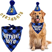Set Compleanno Cane - Cappello E Bandana Con Numeri Glitter Per Feste