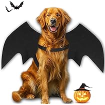 Fledermaus Kostüm Für Katzen & Kleine Hunde - Halloween Haustier Verkleidung