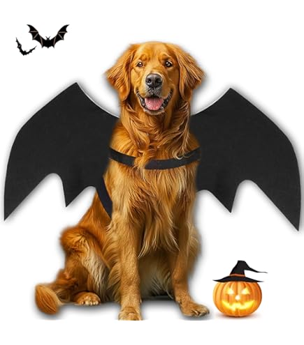 Kerst Hond Kostuum Grappig Huisdier Kerstman Kleding Cosplay Party Kleding Xmas Outfits voor Kleine en Middelgrote Honden Katten A,M