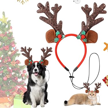5 Pinces à Cheveux Décoratives Pour Chien Et Chat - Formes Mignonnes, Fixation Solide, Idéal Pour Toilettage Et Sorties - 8
