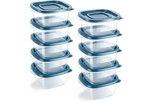 EFISH set da 10 in scatola di plastica rettangolare con coperchio. Scatola per alimenti, set di contenitori, contenitore per alimenti, contenitore per alimenti in plastica,300ml