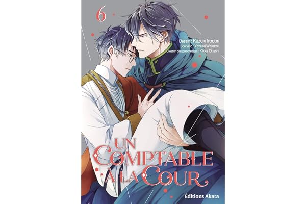 Un comptable à la cour - Tome 6