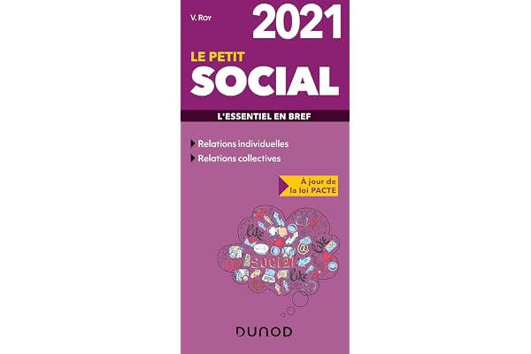 Le Petit Social 2021 - L'essentiel en bref: L'essentiel en bref (2021)
