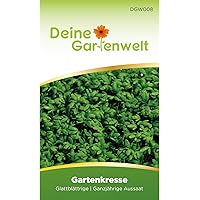 Kresse Samen (Glattblättrige Gartenkresse) | Kressesamen | Saatgut für Kresse-Pflanzen | Kräutersamen