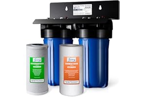 iSpring WGB21B Sistema di Filtrazione dell'acqua a 2 Stadi per Tutta la Casa, con Filtro CTO (cloro, gusto e odore) da 10" x 4,5", Ingresso/Uscita da 1"