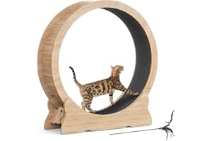 Mondeer Ruota per gatti, 110 cm, XL, tapis roulant con tappeto rimovibile e teaser per gatti, per corsa, camminata e allenamento (legno naturale)