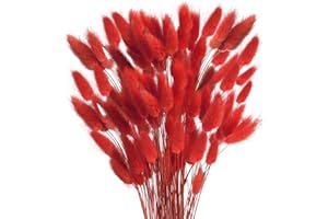 HUAESIN 120PCS Fiori Secchi Coda di Coniglio Erba della Pampas Naturali Bouquet Fiori di Pampas Erba Coda di Coniglio Rosso Pampas Decorative Secche per Casa Tavolo Festa