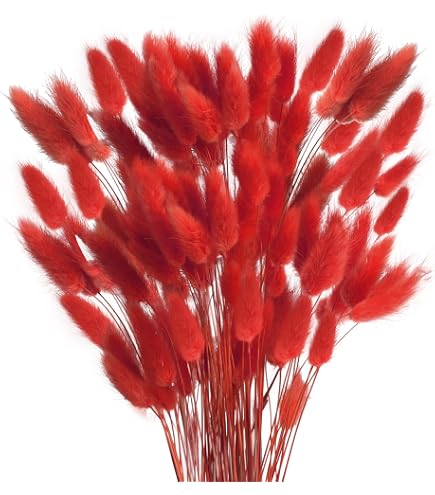 15 Tiges De Pampa Séchée MagiDeal - Rouge 60cm - Déco Boho, Mariage, Salon - Sans Entretien