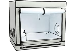 VWPEYY Homebox Ambient R80S
