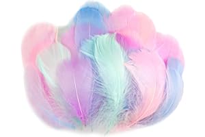 AOOTE Bunte Federn,100 Stück Bastelfedern,6~12cm,Weich Federn,Deko Federn,Flaumfedern,Feder Handwerk für DIY Ohrring,Kopfschmucksfedern,Traumfänger,Hochzeit,Ostern,Weihnachten