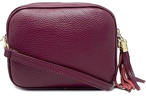 Chicca Borse Tracollina Borsa Donna in Pelle Dollaro Italiana Borsetta a Spalla