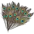 Healifty 25pcs Natural Peacock Tail Feather Real Peacock with Eye for DIY Arts Craft Wedding Party Home Decoration 25-30cm