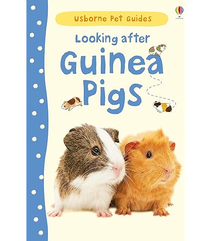 Wrendale Designs by Hannah Dale Knuffel - Daphne de Cavia | KNUFFEL | Wij helpen je kiezen