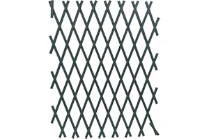 N.G. NICCOLAI NG NICCOLAI - TRALICCIO ESTENSIBILE IN PLASTICA VARI COLORI E MISURE (1X3 MT, VERDE)