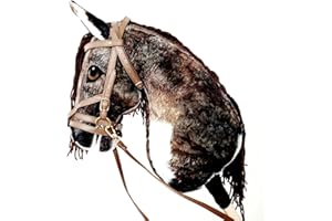 HORSE & TOYS Hobby Horse Hobbypferd groß A3 (Pferd auf einem Stock) komplett mit Geschirr wie auf dem Foto (gesichtet)