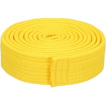 PATIKIL Ceinture De Taekwondo Orange – Polyester 2,4 M X 4 Cm – Pour Classement, Judo, Karaté – Entraînement Et Compétition