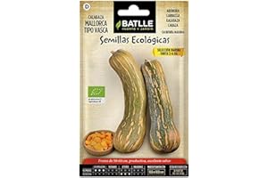 Semillas Batlle Calabaza Mallorca - ECO