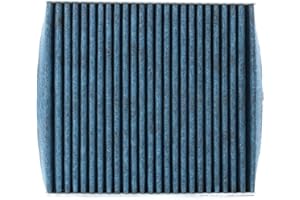 MAHLE LAO 888 filtr wewnętrzny, 1 sztuka (1 opakowanie)