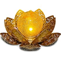 KagoLing Lamp op zonne-energie voor buiten, 1 stuk, kolibrie