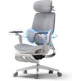 Hbada E3 Ultra - Premium Ergonomic Office Chair with Dynamic Lumbar Support 3 Zones, 360&deg; Swivel Armrests and 4D Adjustable H