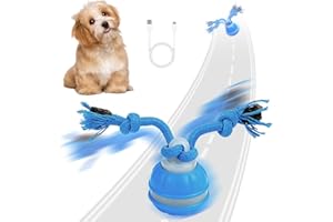 HNCY Balle Interactive Chien - Jouet Interactif Chien,Balles Intelligent électriques avec Chant d'Oiseaux et Ficelle,Rechargeable,Jouet Chiens Pour jeux intérieur/extérieur chiots et petits chiens (bleu)