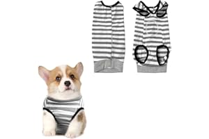 INSPUTOL Tuta per cani dopo l'intervento chirurgico, protezione per il corpo del cane dopo l'operazione, tuta morbida per il recupero del cane, tuta protettiva per cani (1 pezzo-S)