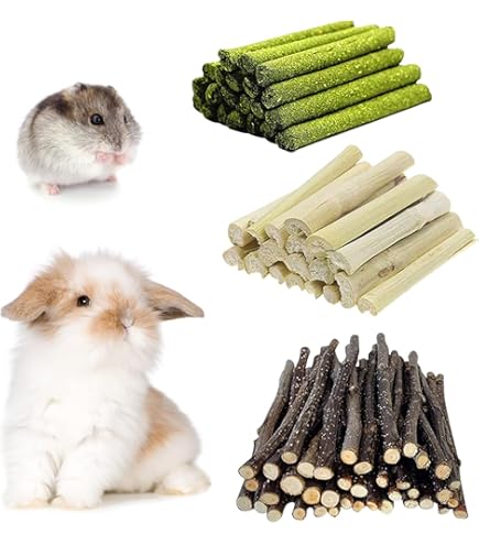 3 Pièces Pierre De Broyage Minérale Pour Dents De Rongeurs