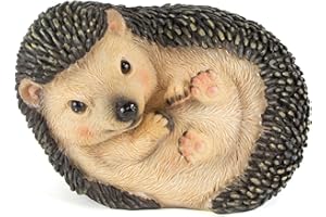 Wrenbury Riccio ornamentale da giardino per esterni, grazioso riccio in miniatura, resistente alle intemperie e ai raggi UV, 15,5 cm