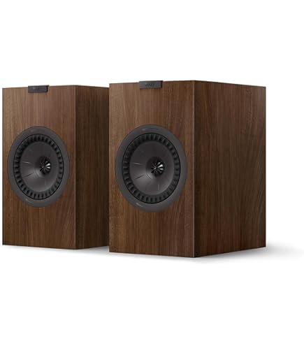 Elipson Horus 6 ATM Noir Carbone Au Meilleur Prix Sur