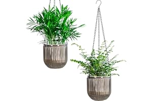 Josteve 5.3 Inch 2 Pcs Self Watering Hanging Planter Indoor Plant Pots with Drainage Holes, Outdoor Hanging Planters Flower Pot Basket, Visible Water Level, Plant Hanger Home Decor, Gardening
