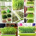 Complete Microgreens Kit Tray and Ten Papers Best Choice for Home Growers