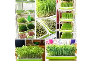 HASALLER Complete Microgreens Kit Tray and Ten Papers Best Choice for Home Growers