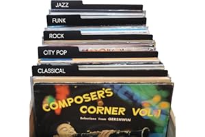 MAYRECORDS Divisori per dischi in vinile da 30,5 cm, riutilizzabili, su entrambi i lati, in plastica, per album fai da te, in vinile, LP e organizzazione di dischi in vinile e DVD (5)