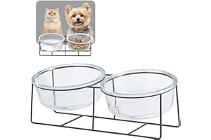 AHX Glass Cat Bowls - Elevated Cat Dog Bowls with Metal Stand for Water and Food - Double Tilted and Raised Pet Dish for Cats and Small Size Dogs - Microwave and Dishwasher Safe 16.9 oz× 2