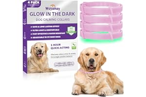 Woyamay Collier Anti Puces pour Chien, 4 Paquet Réglable Résistant à l'eau Collier Chien Anti Puces et Tiques, 8 Mois Naturel Collier Anti Tique Chien pour Chien Toutes Races et Tous âges - Orange