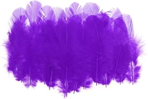 PATIKIL 1.5-3 Inch Saddle Hackle Rooster Feather, 300 Pcs Bulk Natural Feathers Fluffy Craft Feathers for Dream Catcher Earrings Pendant, Dark Purple