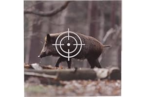shoot-club 50 Tiermotiv Zielscheiben Wildsau Format 14x14cm