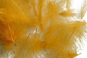 HARELINE Pechetruite 1g - Plumes de CDC (Cul de Canard) Vieux Jaune - pour Montage de Mouche de Peche