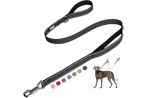 Fida Wytrzymała smycz dla psa z 2 wygodnymi wyściełanymi uchwytami, uchwytem drogowym i zaawansowanym łatwym karabińczykiem, odblaskowa, dla psów, średnich i małych ras, czarna