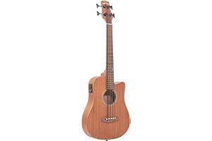 GOLDTONE 23" Acoustic-Electric Micro Bass with Gold Tone Bag