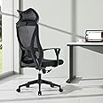 VOFFOV Office Chair with Headrest, Ergonomic Computer Chair Desk Chair with Lumbar Support Armrest, Swivel Mesh Gaming for Home Office Study (Black Headrest)