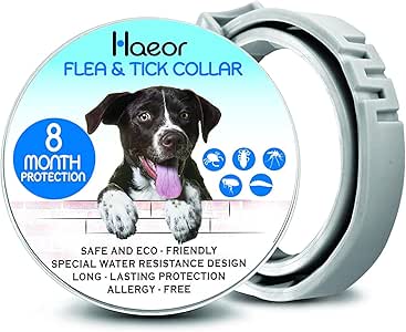 can dogs survive parvo without treatment