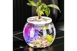 GOVNPJ Pecera Globo de Plástico,Peceras para Peces,Pecera plastico Redonda,Acuario pequeño Transparente. Decoracion ​para hogar,Ideal para Flores, Peces, Tortugas 18cm