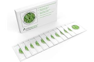 NATURAL PROBIOTIC SELECTION Yoghurt ferments - Pack de 3 sachets de culture lyophilisés pour yaourts Rhamnosus et Gasseri (Pack de 12 sachets)