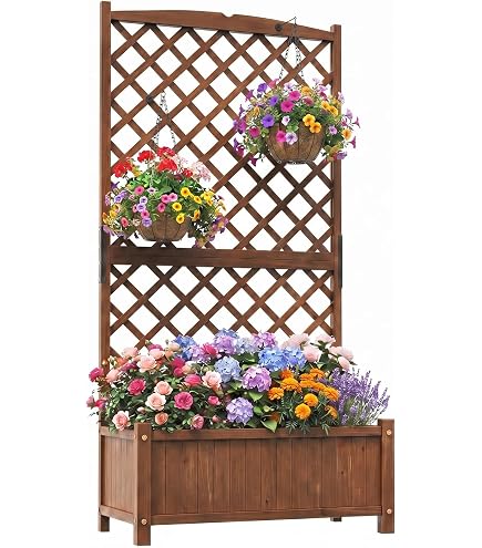 irischer efeu wachstum 24x Irischer Efeu Hedera Hibernica Kletterpflanzen – Plant Gift main image 1