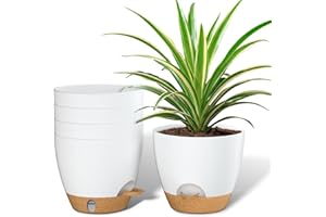 ZMTECH 15 cm Plant Pots with Drainage Holes Saucer Self Watering Planters with Watering Inlet Plastic Flower Pot for Indoor Outdoor Plants (Set of 5, White)
