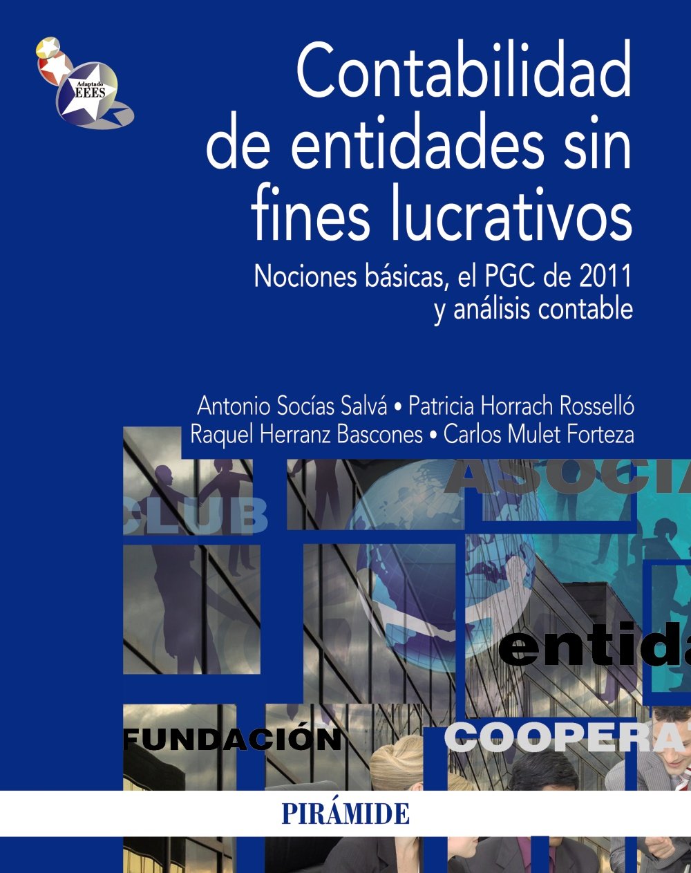 Contabilidad de entidades sin fines lucrativos: Nociones básicas, el PGC de 2011 y análisis contable