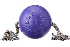 Jolly Pets 20 cm Romp-n-Roll, fioletowy